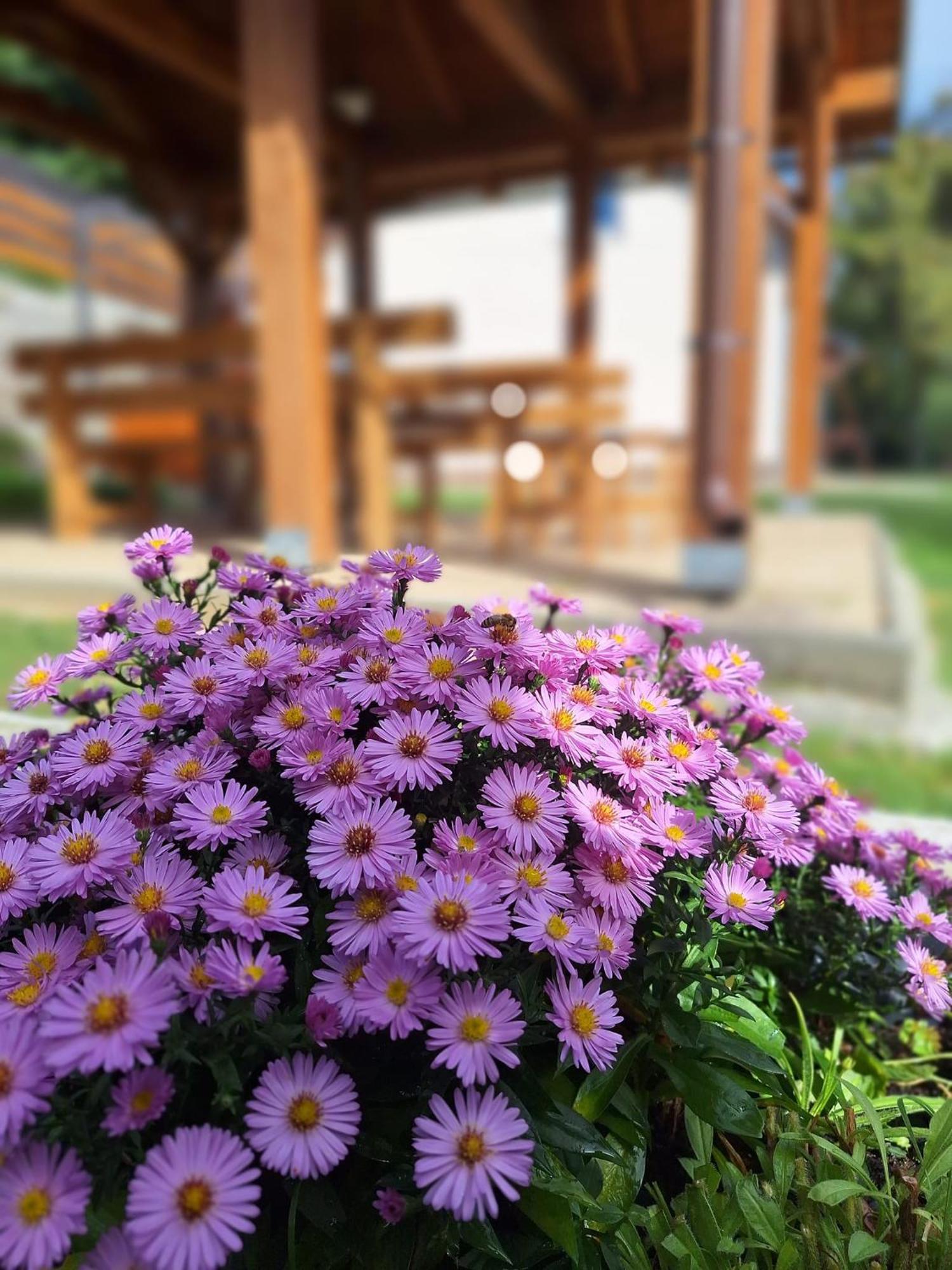 Burg Nad Banskou Stiavnicou Guest House Stiavnicke Bane Bagian luar foto